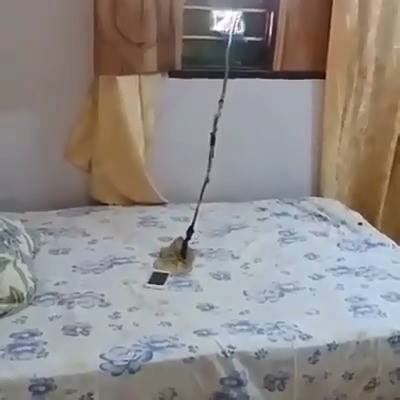 Dukit Kahit Nakabukas Ang Bintana .